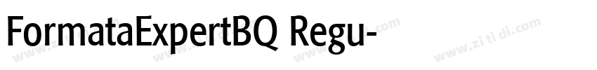 FormataExpertBQ Regu字体转换 FormataExpertBQ Regu字体转换